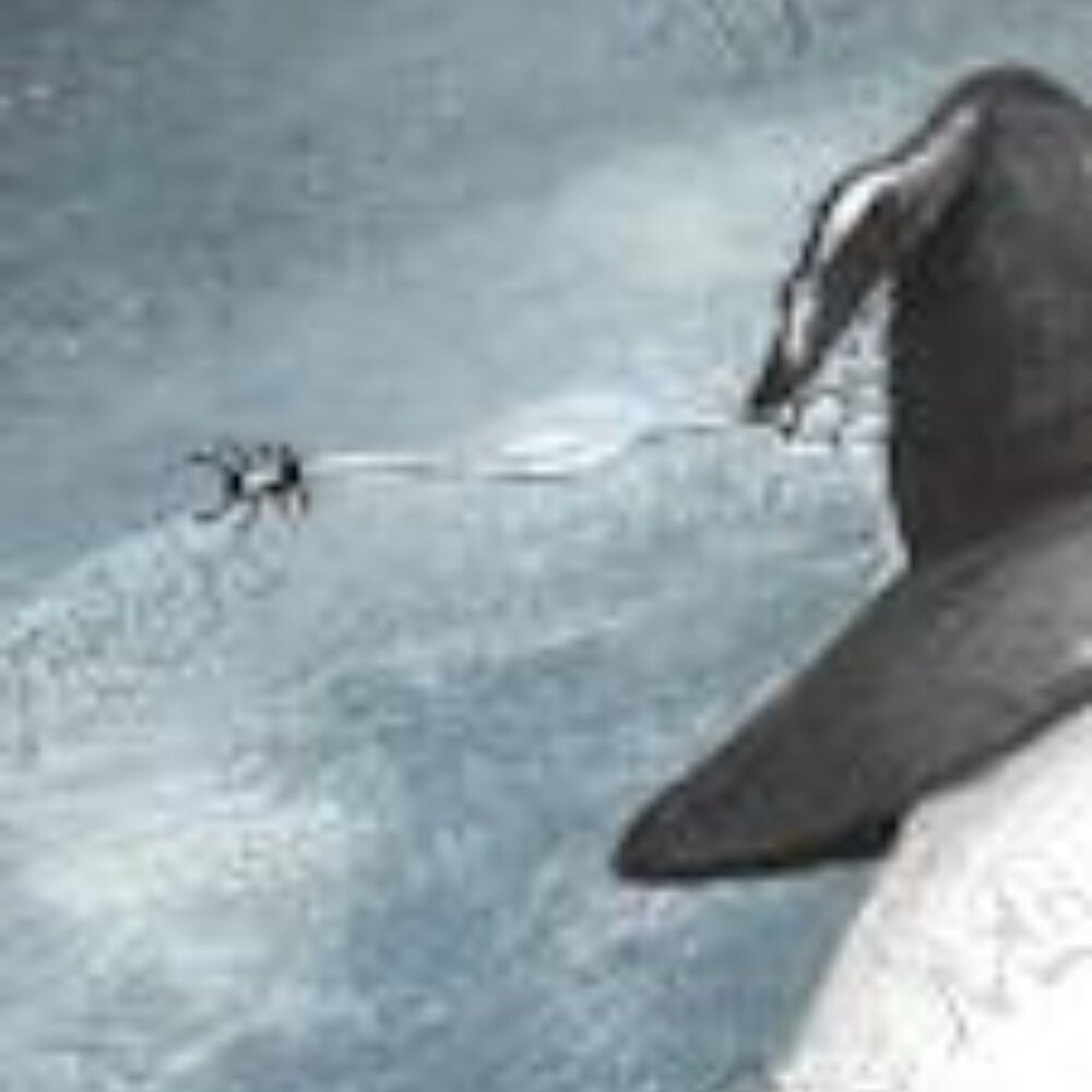 8x10 Fine Art Print, Witch Ghost on a Broomstick Over a Haunted Forest Painting, - Picture 7 of 7